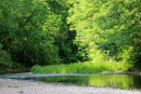 Dreibrunnenpark/Luisenpark