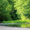 Ufer 
